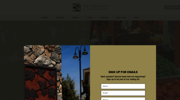 thevineyards.com