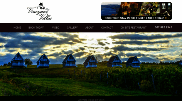 thevineyardvillas.com