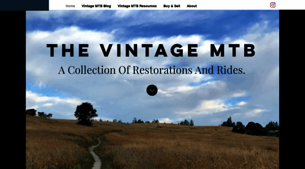 thevintagemtb.com