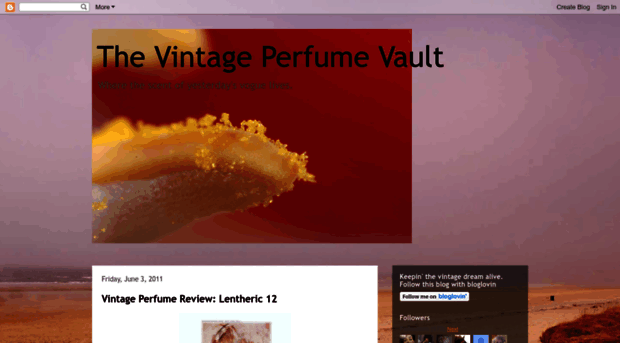 thevintageperfumevault.blogspot.com