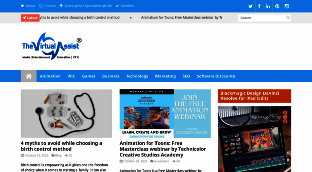 thevirtualassist.net