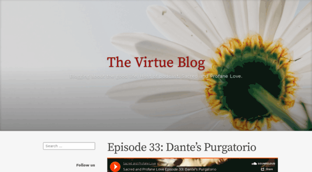 thevirtueblog.com