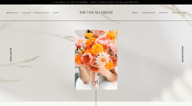 thevisualcorner.net