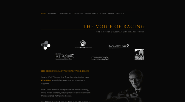 thevoiceofracing.com