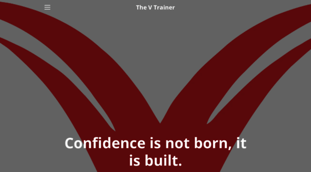 thevtrainer.com