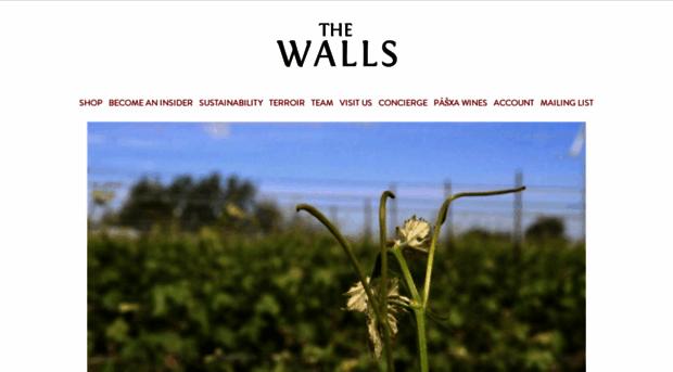 thewallsvineyards.com