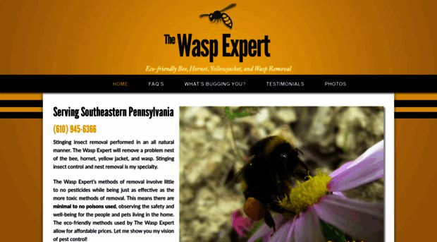 thewaspexpert.com