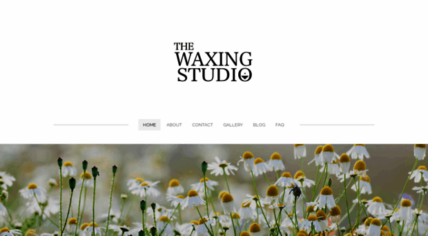 thewaxingstudio850.weebly.com