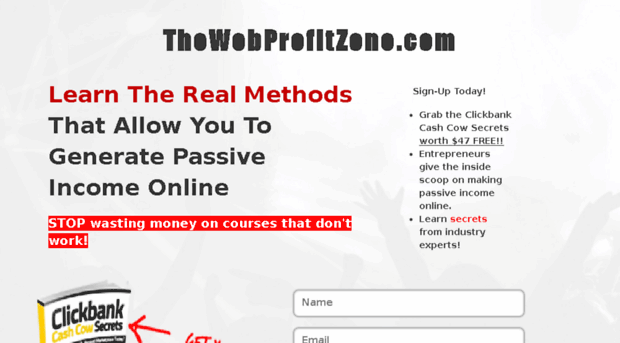 thewebprofitzone.com