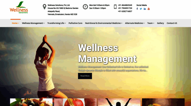 thewellnessolutions.com