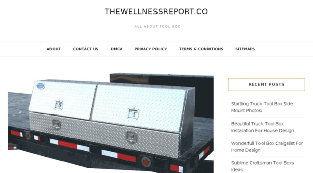 thewellnessreport.co