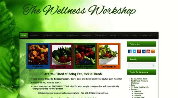 thewellnessworkshop.org