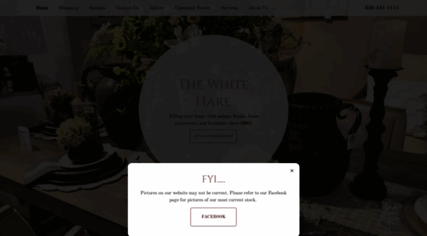 thewhitehare.com