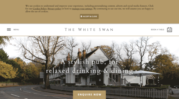 thewhiteswanpub.com