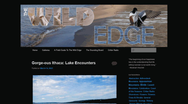 thewildedge.net