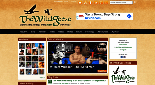 thewildgeese.irish