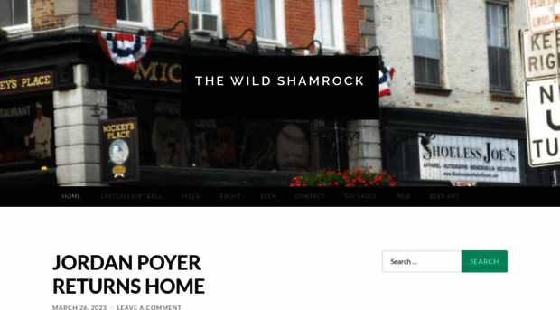 thewildshamrock.com