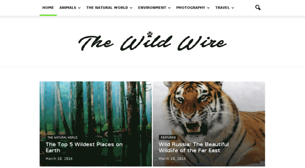 thewildwire.com