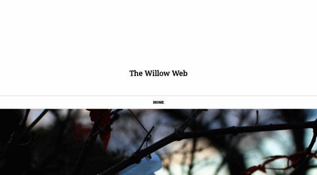 thewillowweb.com