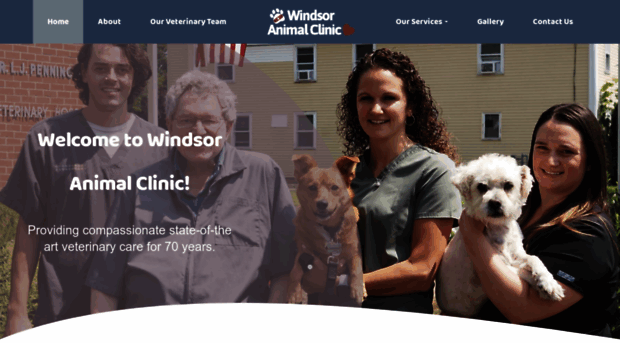 thewindsoranimalclinic.com