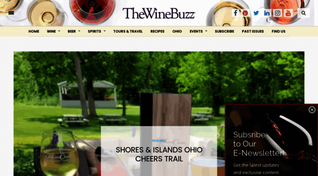 thewinebuzz.com