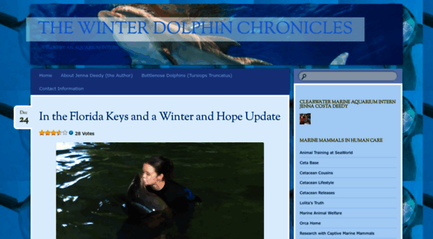 thewinterdolphinchronicles.wordpress.com