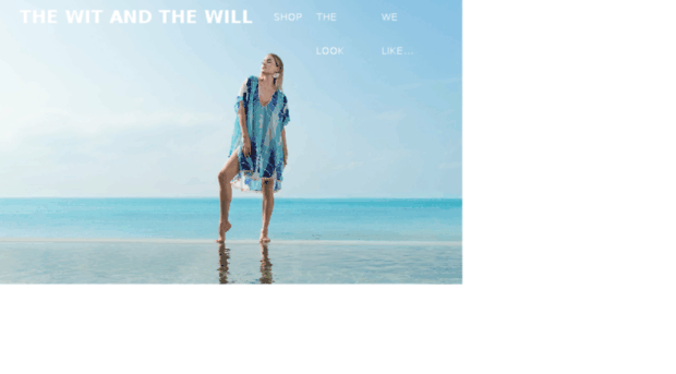 thewitandthewill.com