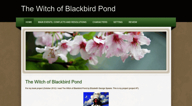 thewitchofblackbirdpond.weebly.com