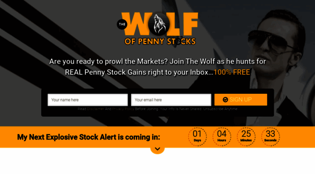 thewolfofpennystocks.com