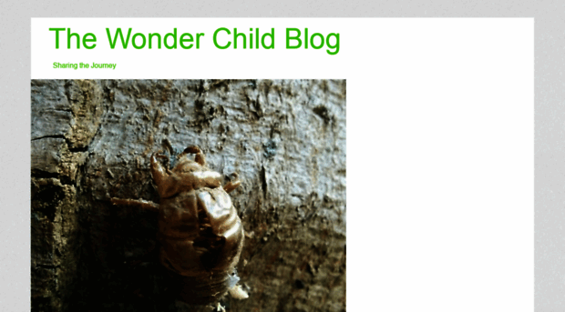 thewonderchildblog.com