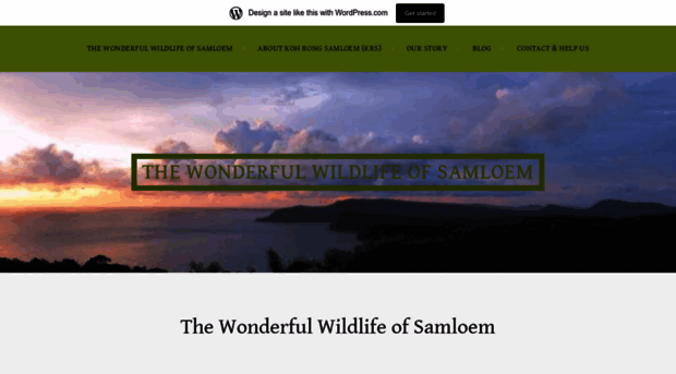 thewonderfulwildlifeofsamloem.wordpress.com