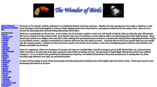 thewonderofbirds.com