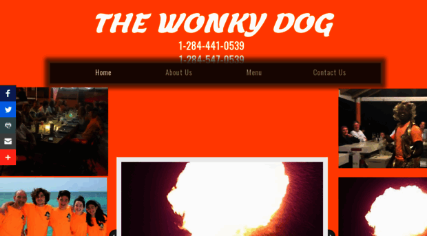 thewonkydog.com
