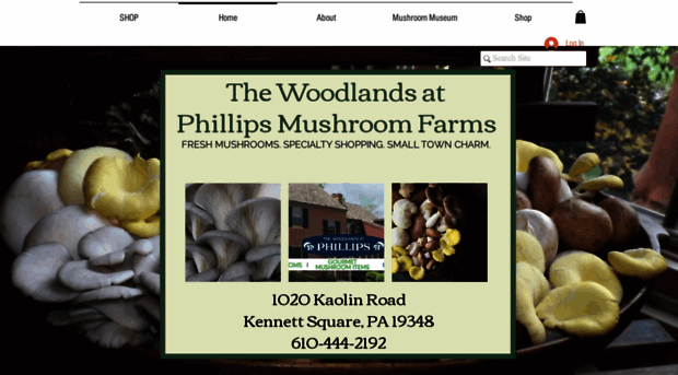 thewoodlandsatphillips.com