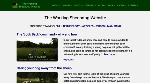 theworkingsheepdog.com