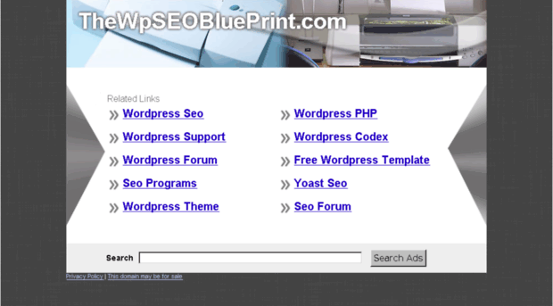 thewpseoblueprint.com