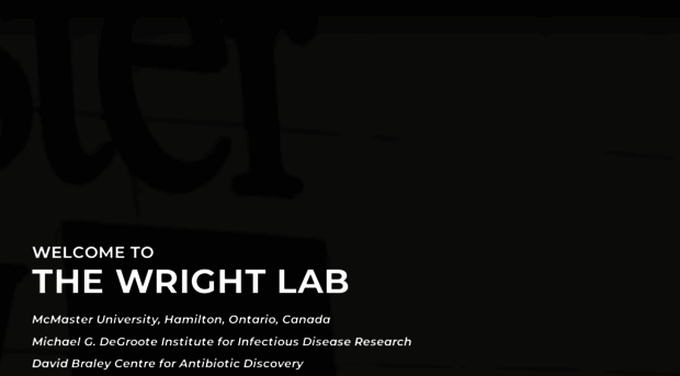 thewrightlab.com