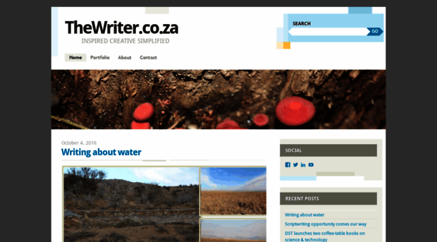 thewriterza.wordpress.com