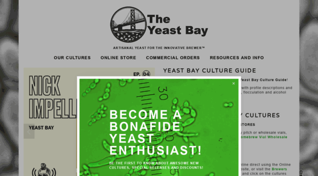 theyeastbay.com