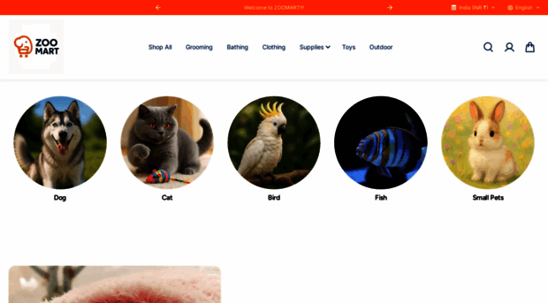 thezoomart.com