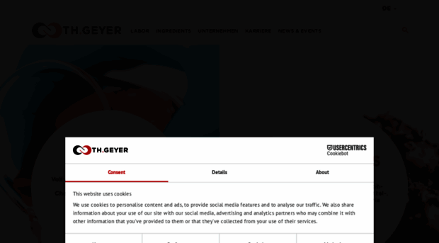 thgeyer.com