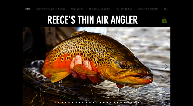 thinairangler.com