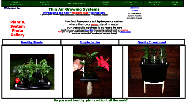 thinairgrowingsystems.com
