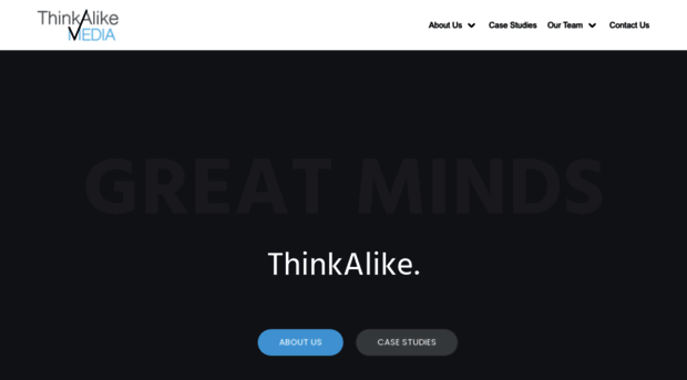 thinkalikemedia.com