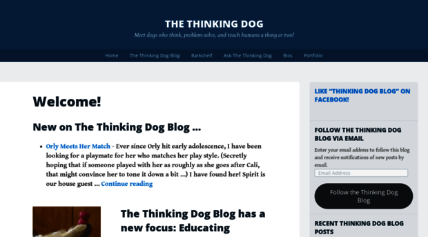 thinkingdogblog.com