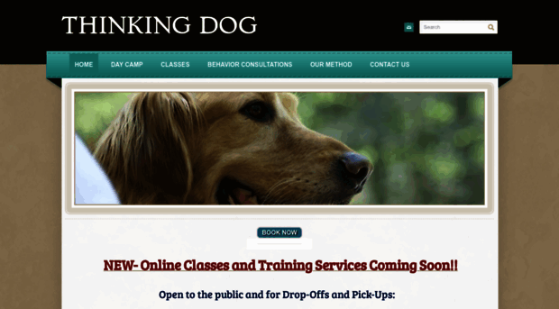 thinkingdognc.com