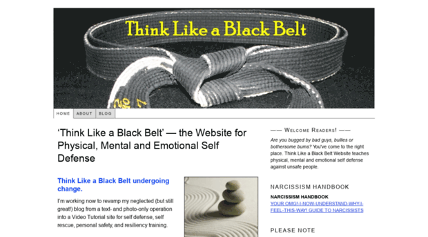 thinklikeablackbelt.com