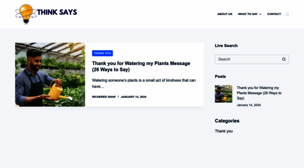 thinksays.com