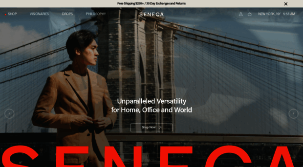 thinkseneca.com