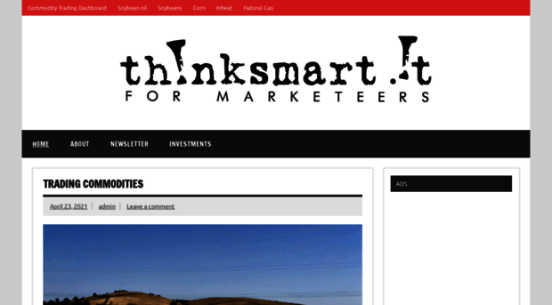 thinksmart.it